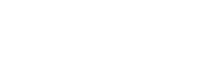 Matthew J Erickson
